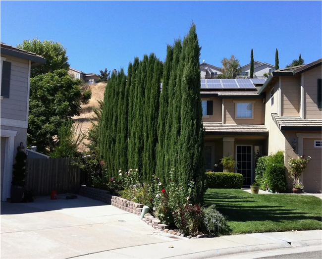 A house with a lot of trees in front of it