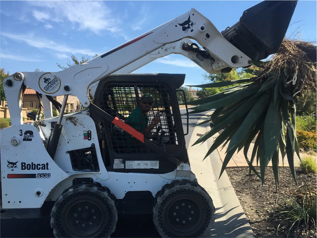 A man is driving a bobcat skid steer in front of a palm tree