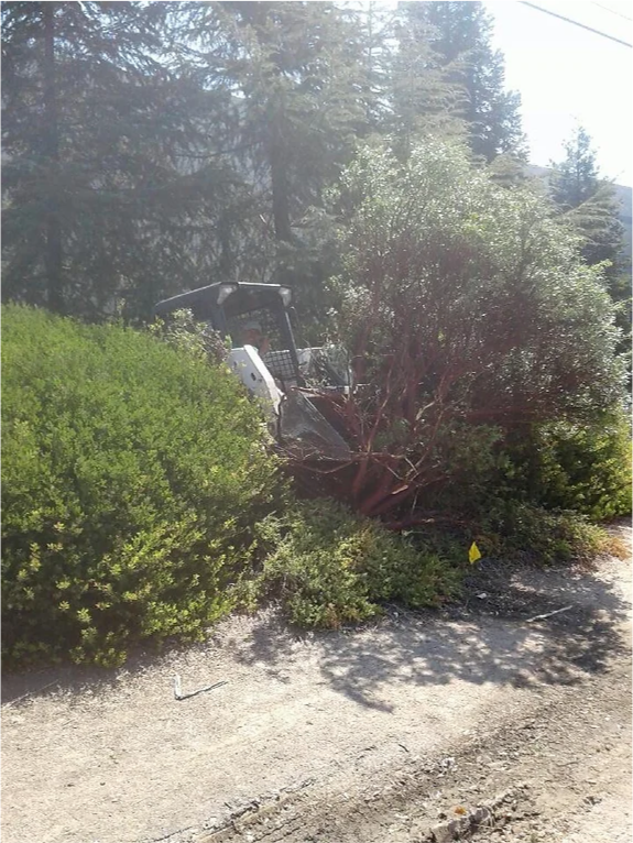 A bobcat is cutting down a bush on the side of the road