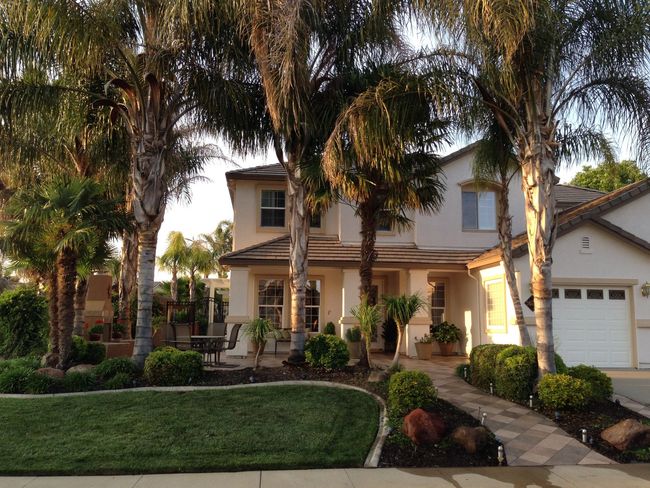 A house with palm trees in front of it