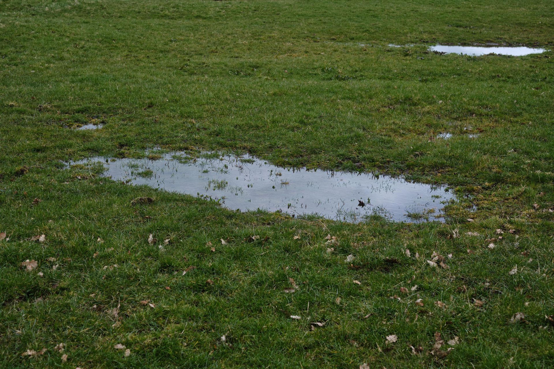 water pooling in your yard