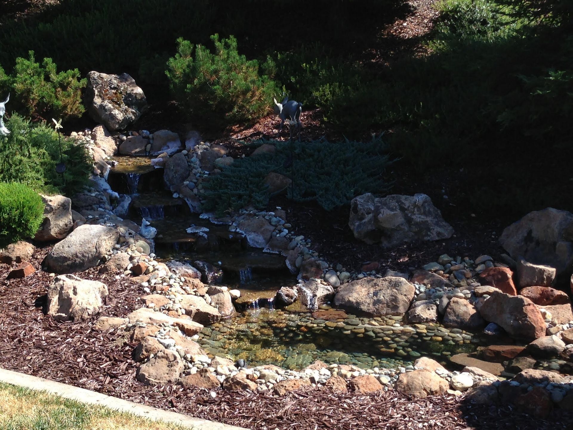 A small waterfall is surrounded by rocks and bushes