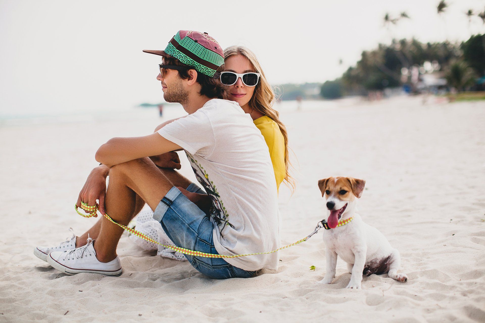 10 summer safety tips for dogs