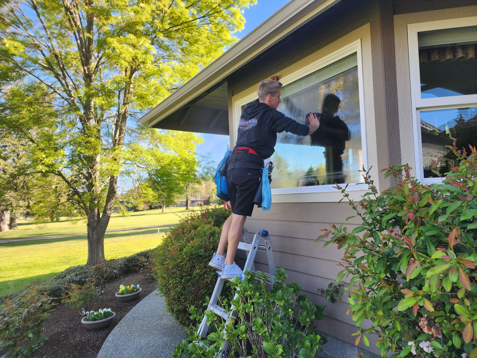 Woman on ladder cleaning window of a house with green lawn and bushes.