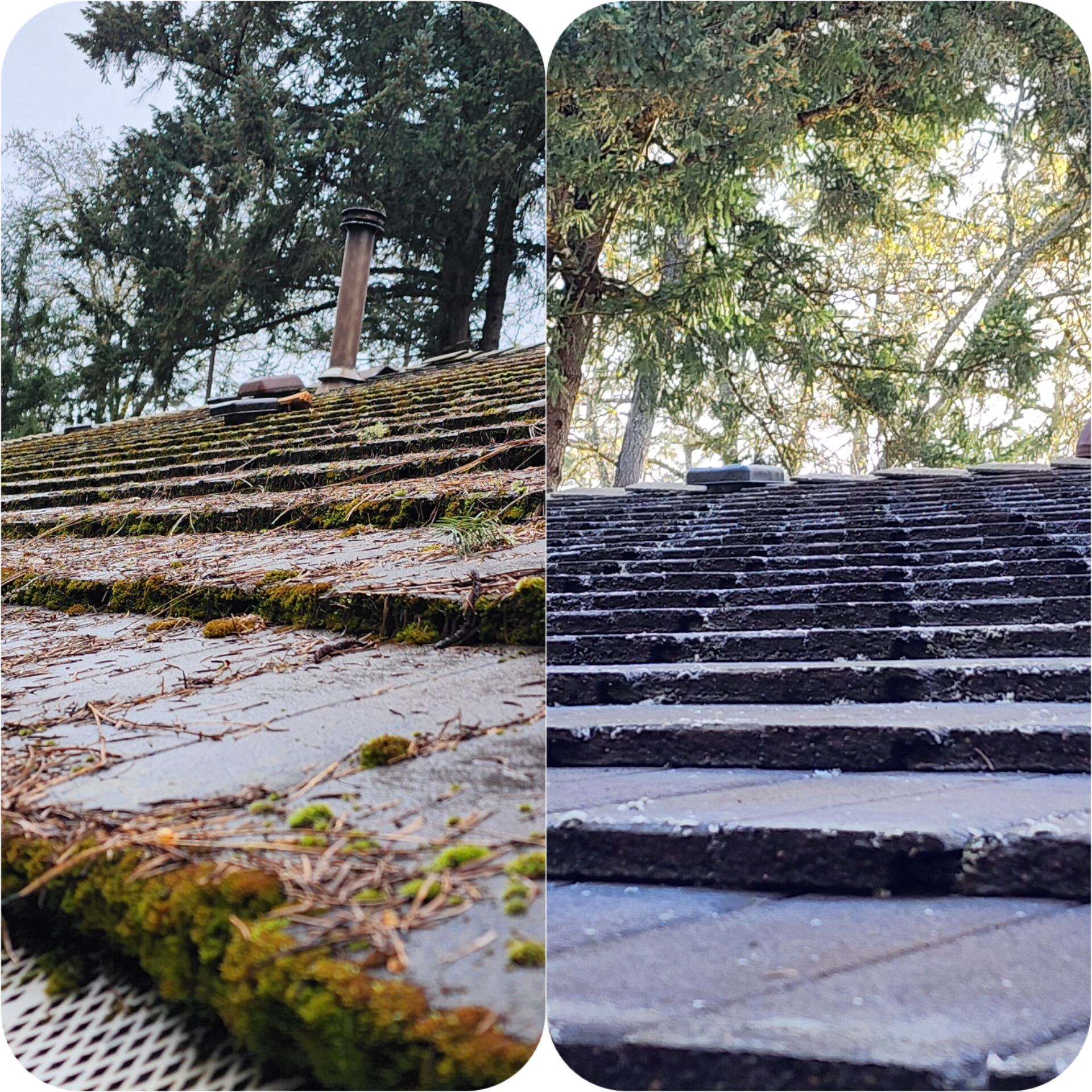 Split view of a rooftop before and after cleaning; mossy and dirty on the left, clean on the right.