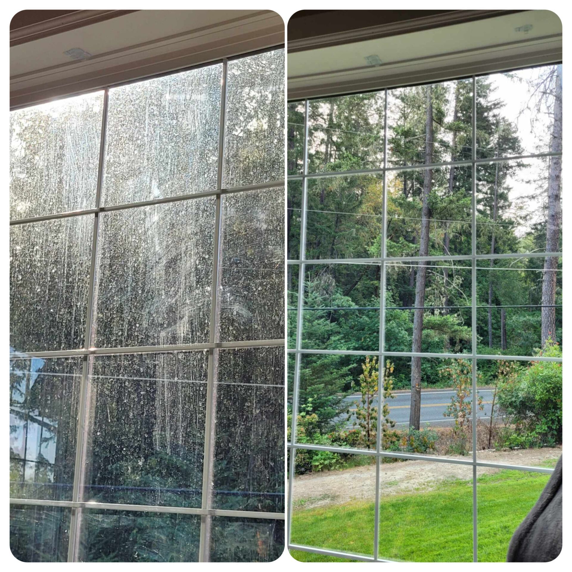Before and after of a window cleaning. Left side, dirty glass. Right side, clear glass with view of green trees.