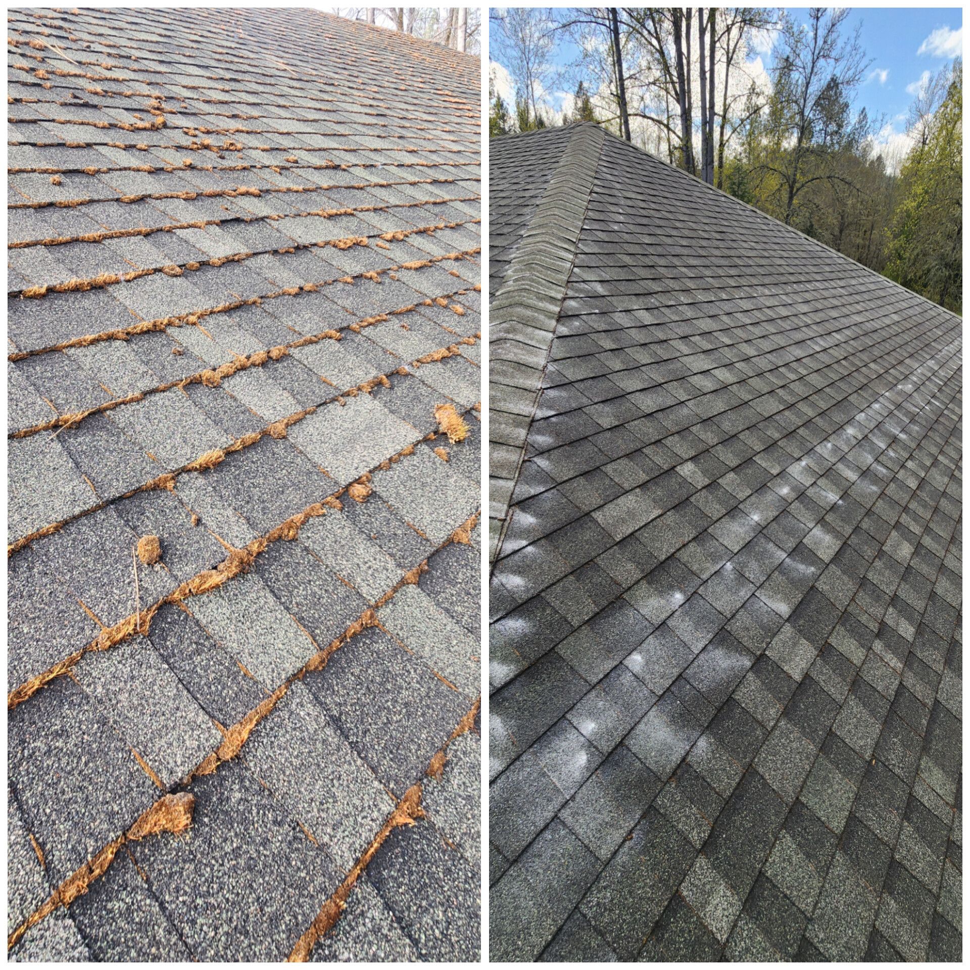 Before and after: a shingle roof covered in debris is now clean, revealing gray shingles.
