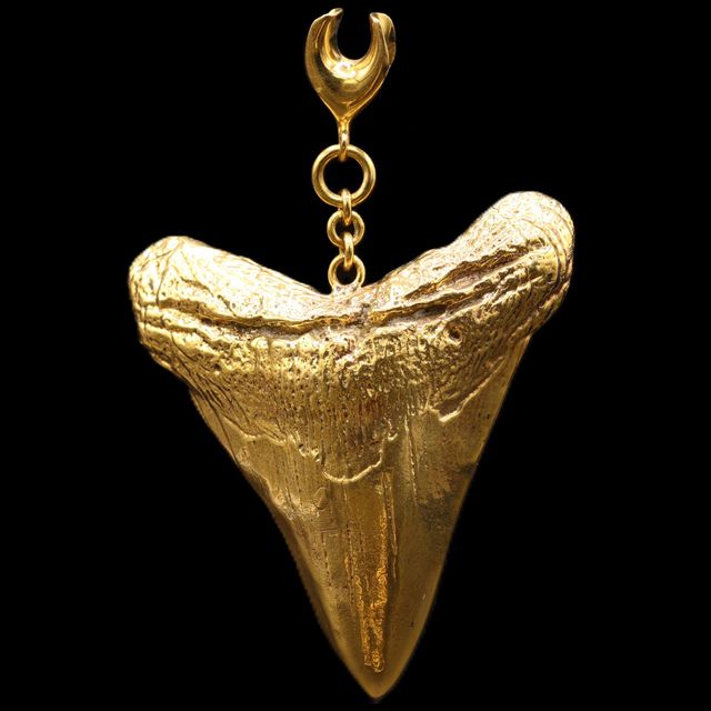 Large Shark Tooth Weights from Diablo Organics