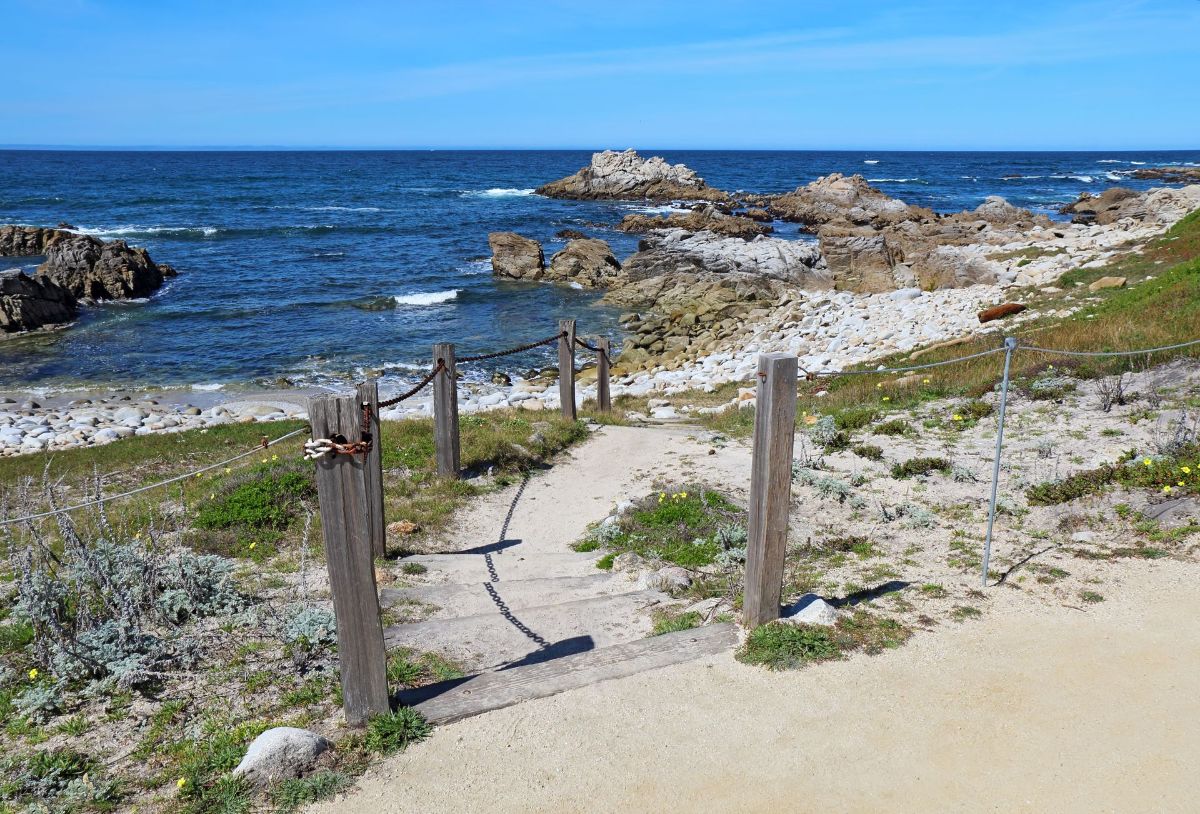 A path leading to the ocean with a wooden fence.