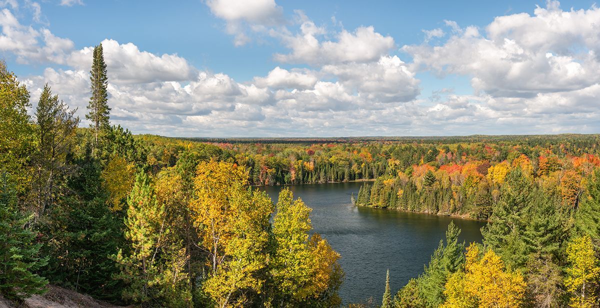 There is a lake in the middle of a forest surrounded by trees.
