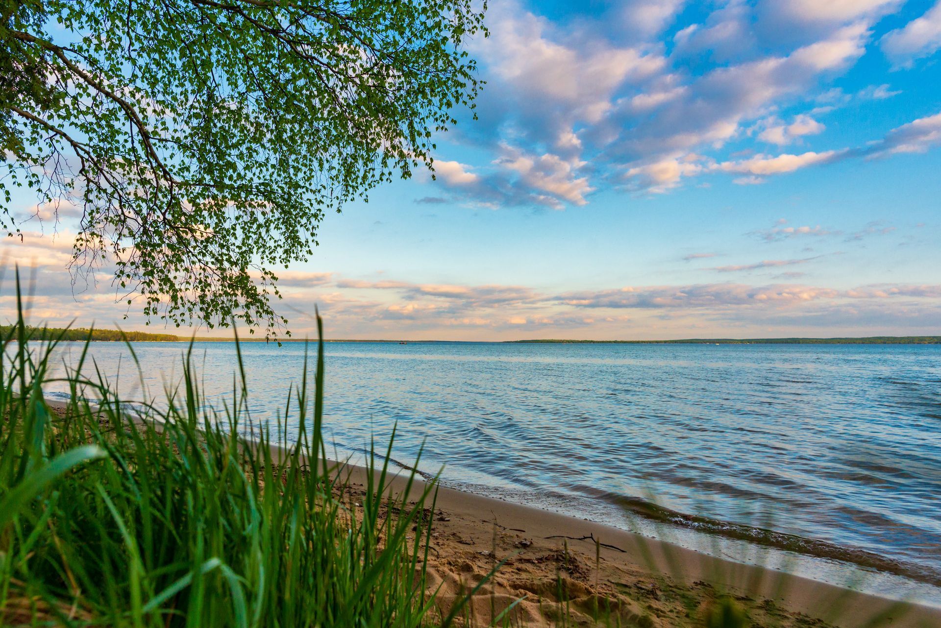 A beach with a tree in the foreground and a large body of water in the background.