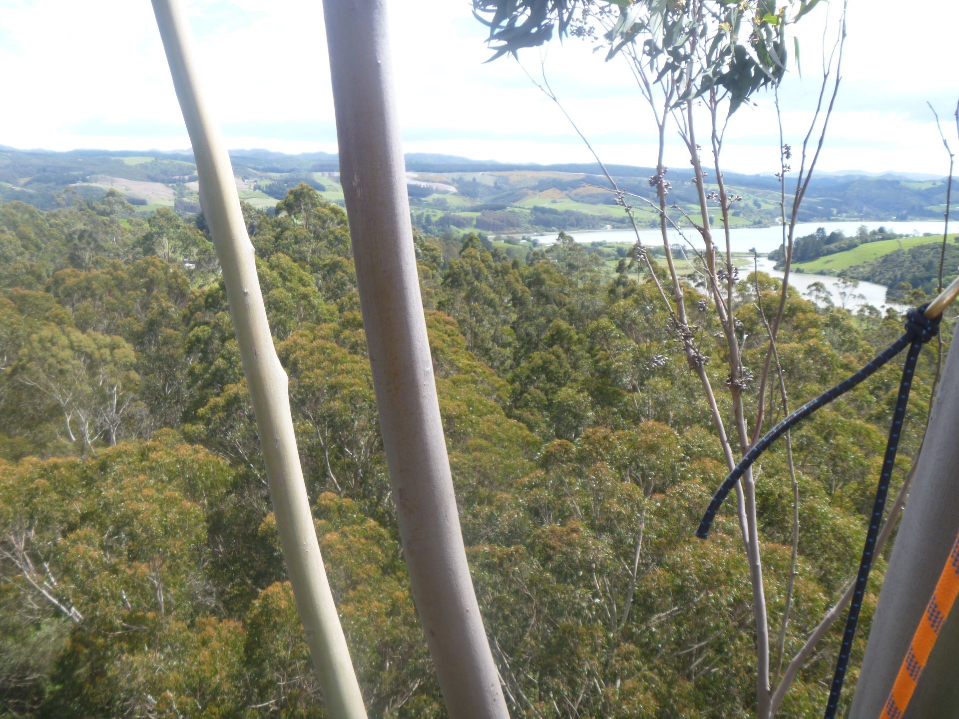 A scenic, high-angle view of a vast, forested landscape with a winding river and green hills under a bright, cloudy sky.
