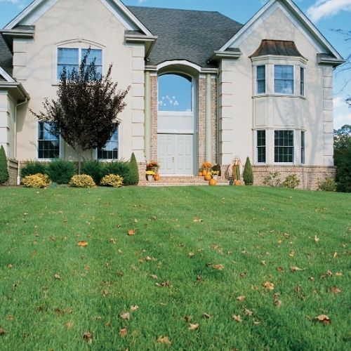 External render repairs Leicester