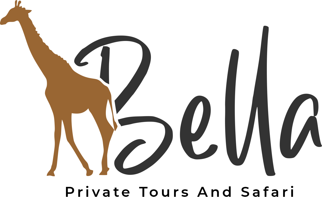 Bella private tours and safari