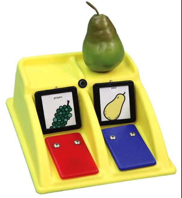 MODEL 1243 - Compartmentalized Communicator - Two compartment with lights and speech