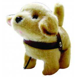 brown puppy with collar