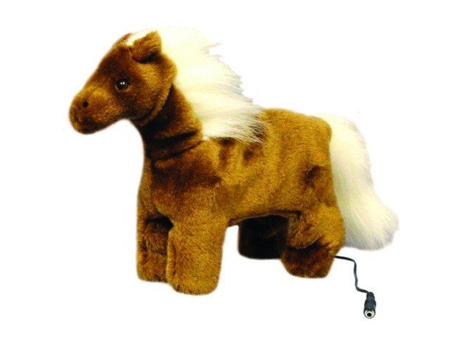 a brown pony with white hair