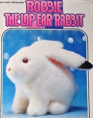 white rabbit