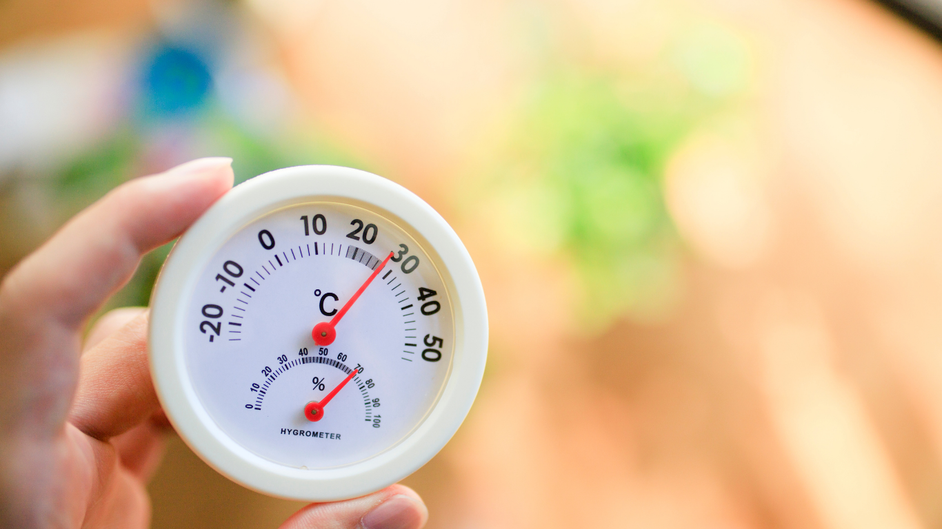 A person is holding a thermometer in their hand.