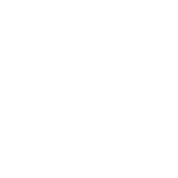 A white background with a few lines on it