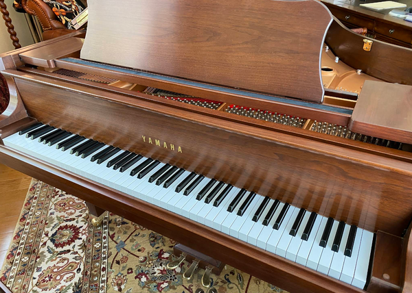 A piano is sitting on a rug in a room.