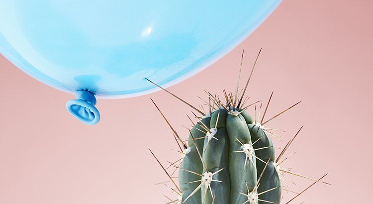 A cactus with a blue balloon attached to it.