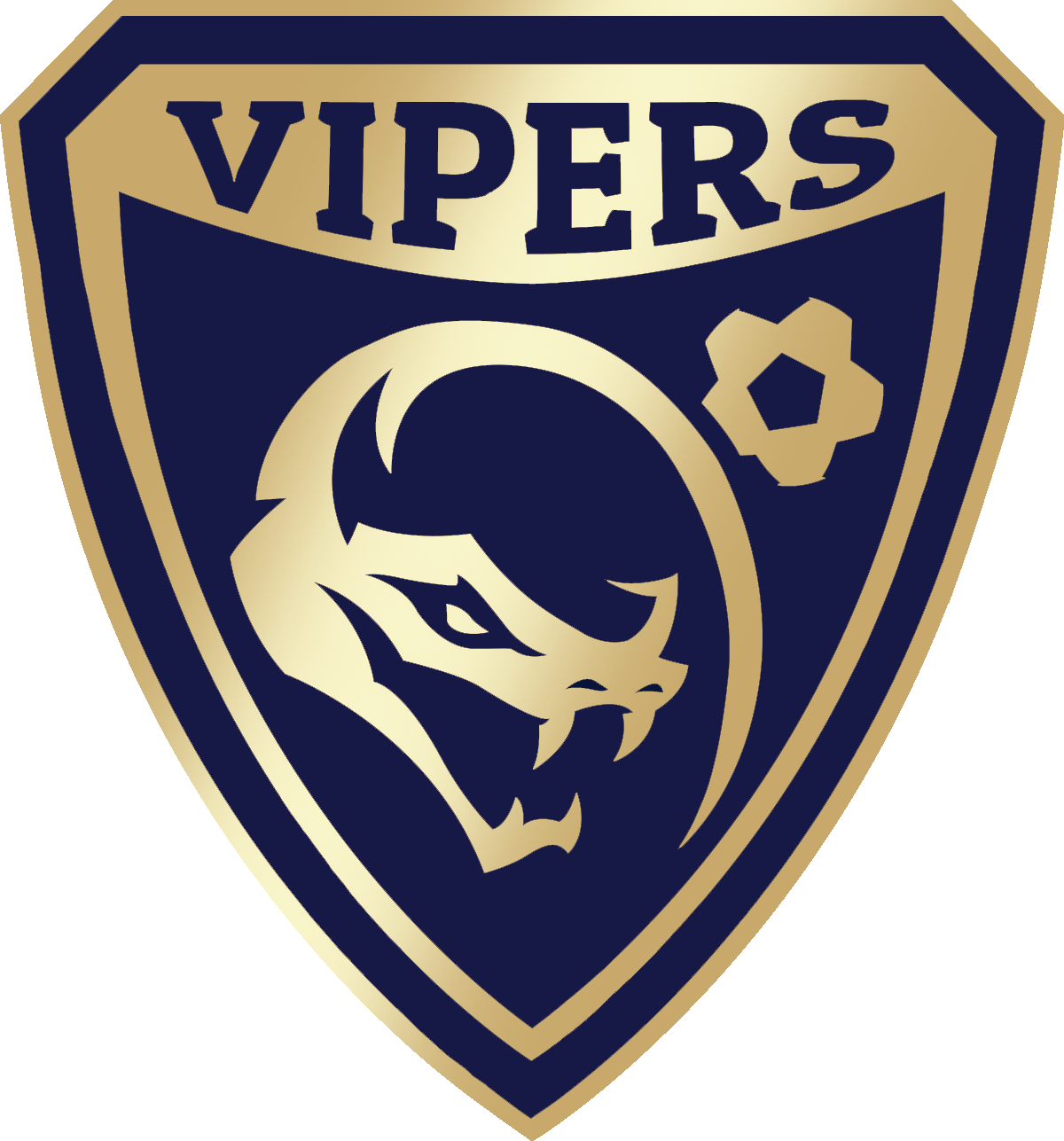 Gold-and-blue VIPERS shield logo with a snake head and a small gear icon