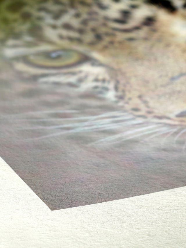Un gros plan du visage d'un léopard sur un morceau de papier.