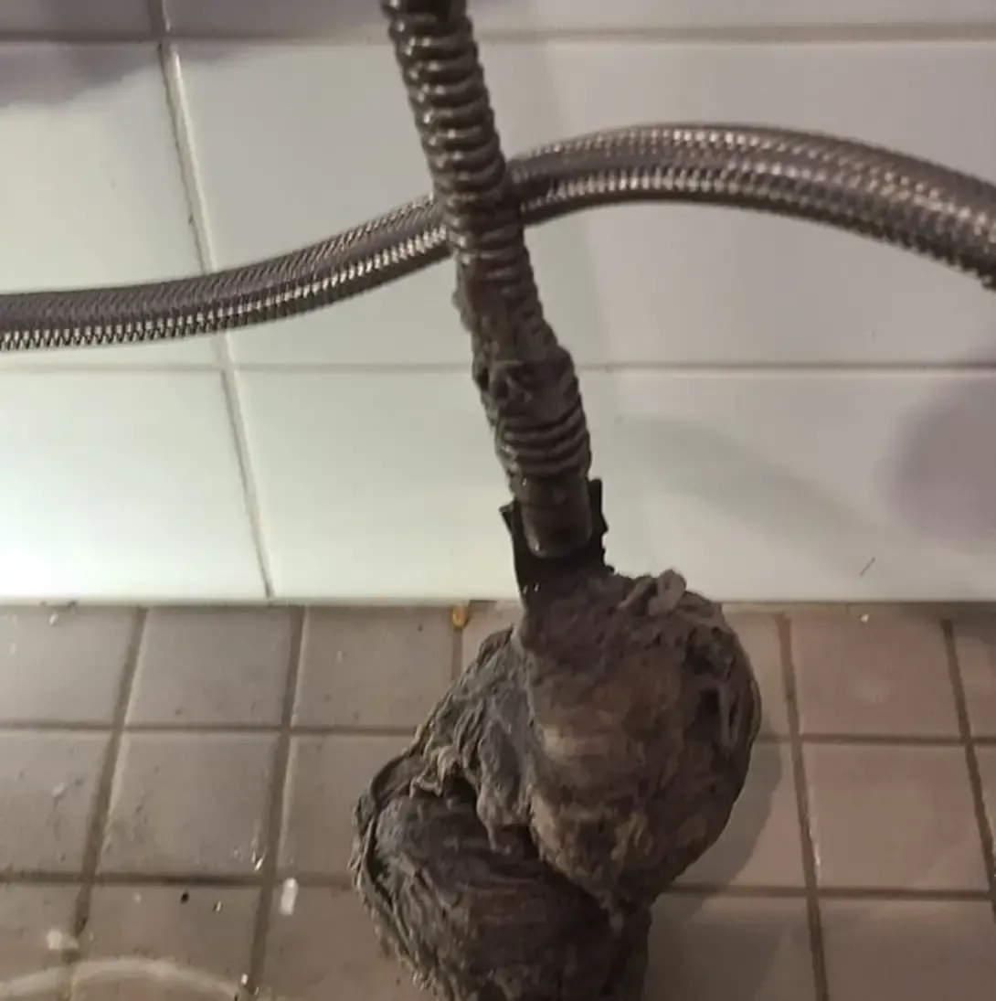 Un gros plan d'une pomme de douche avec un tuyau attaché.