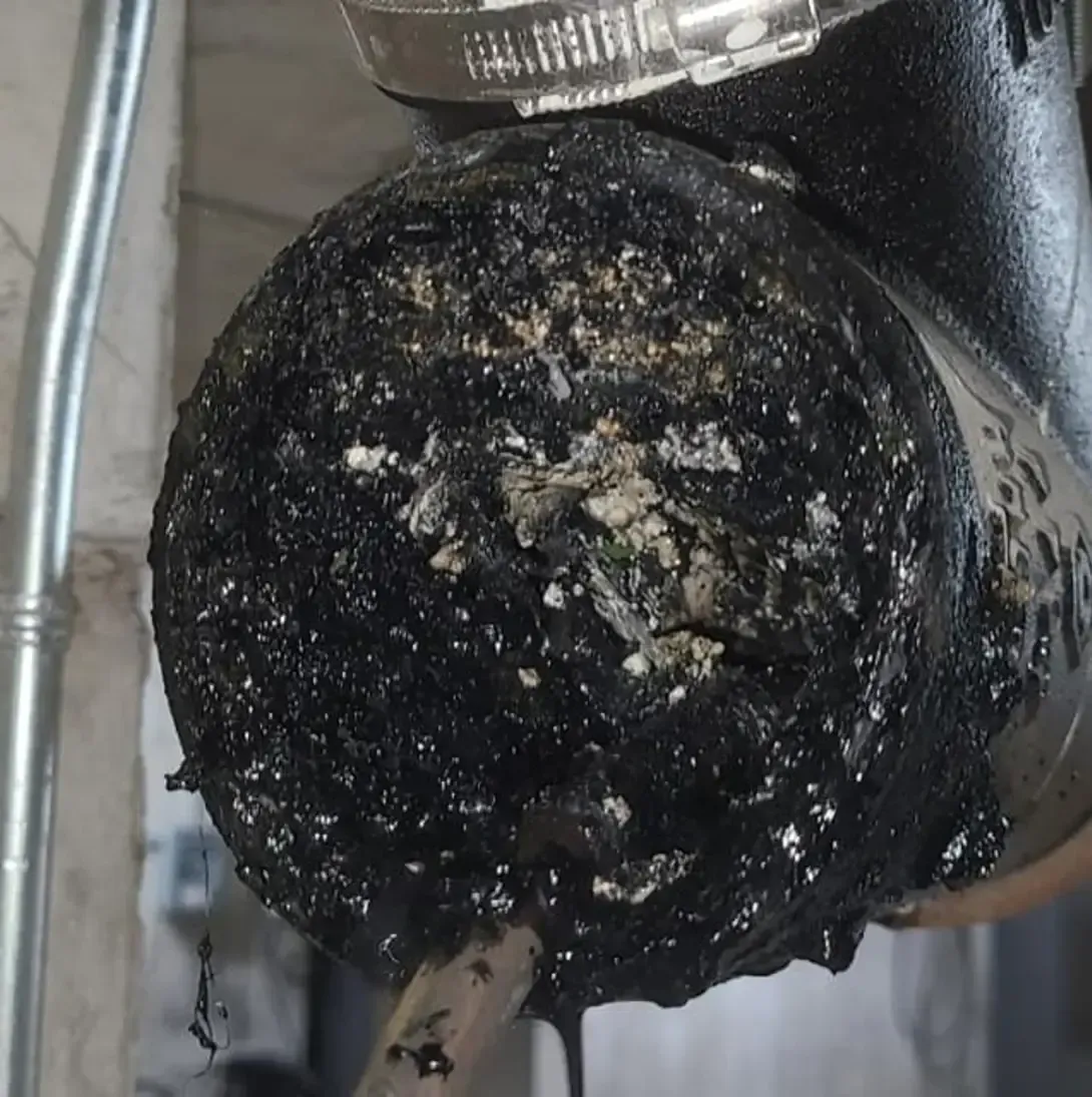 Un gros plan d'un tuyau avec un collier de serrage dessus