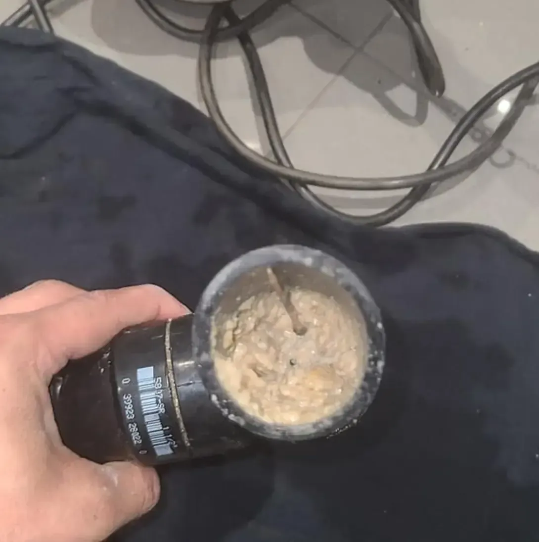 Une personne tient un pot sur lequel est écrit Coca Cola