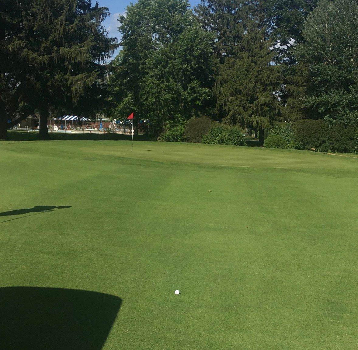 Golf course green with a golf ball in front of the red flag.