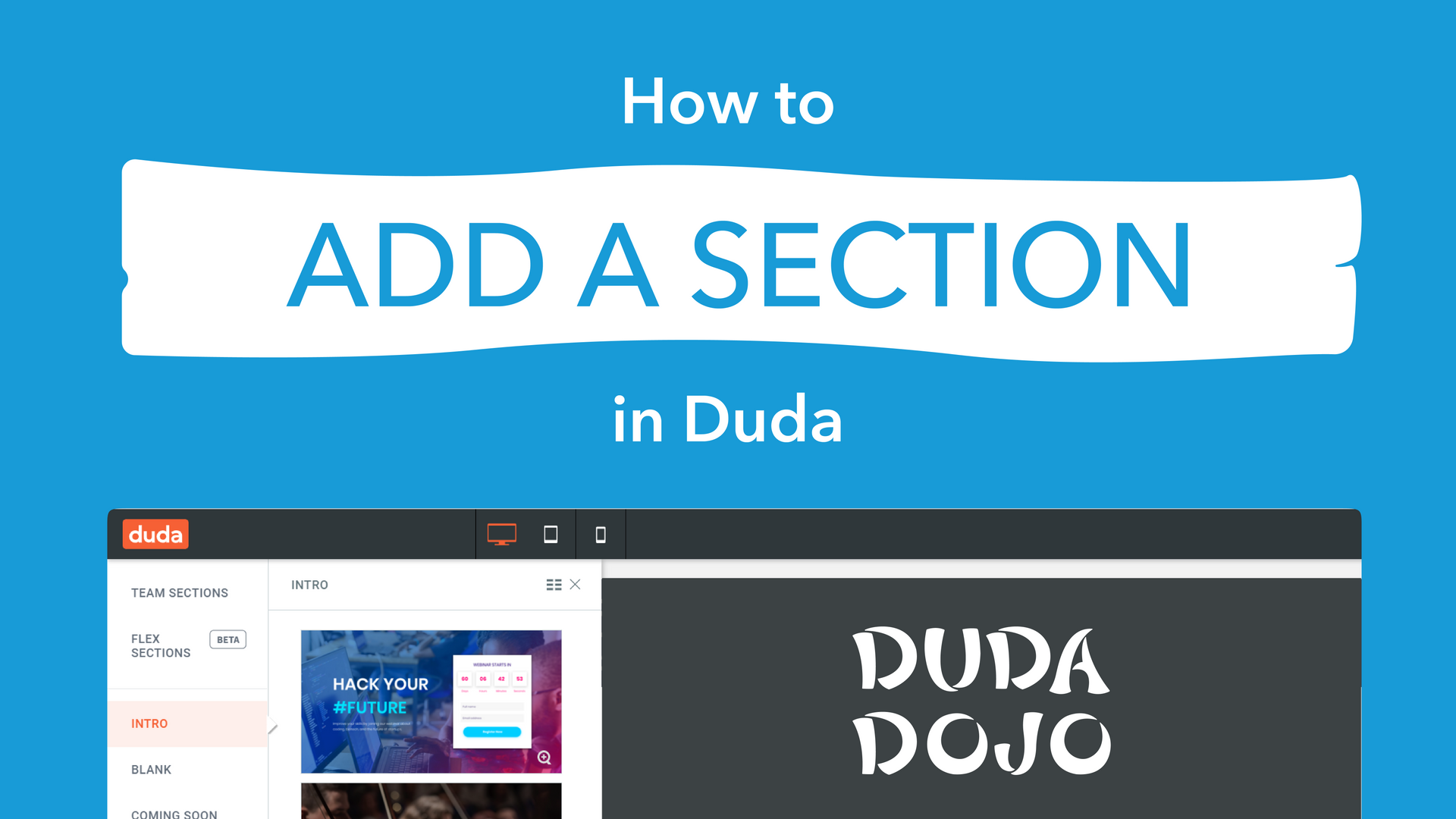 how to add a section in duda