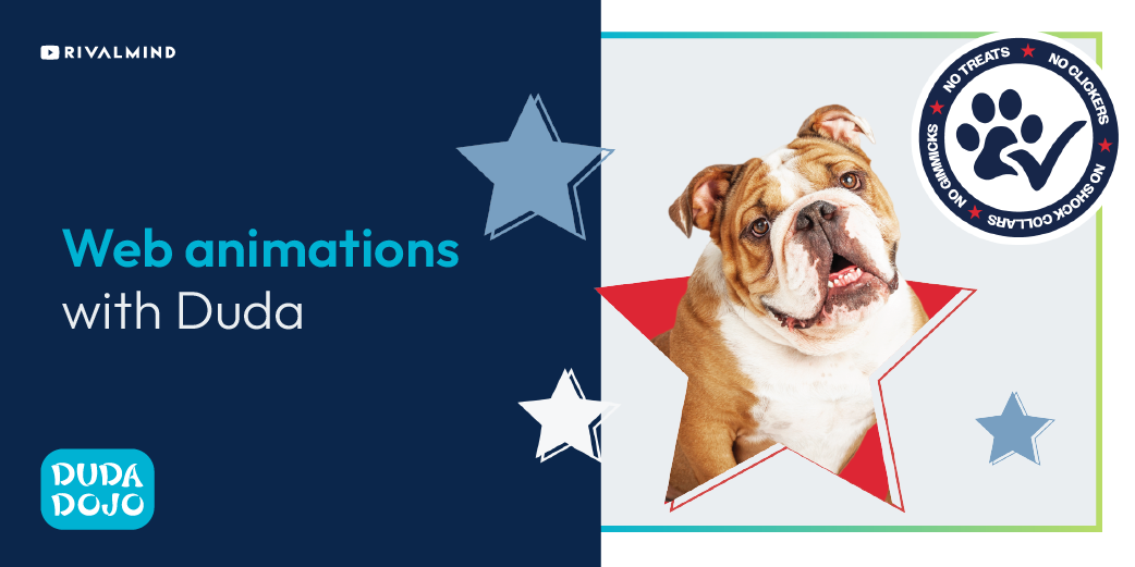 A bulldog is sitting in a red , white and blue star.