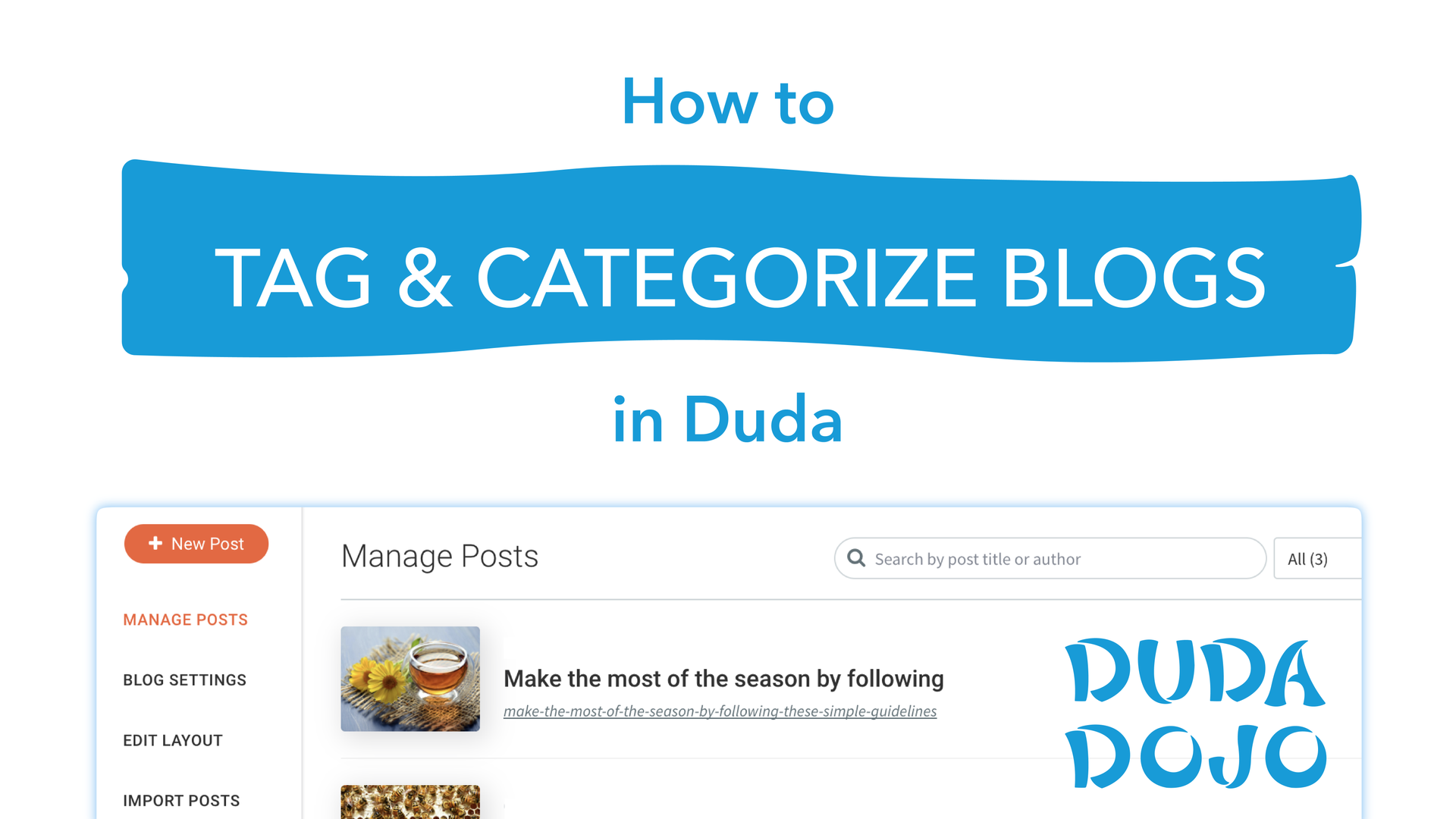 how to tag and categorize blogs in duda