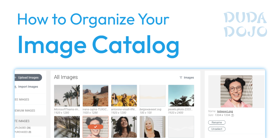 how to organize your image catalog in duda