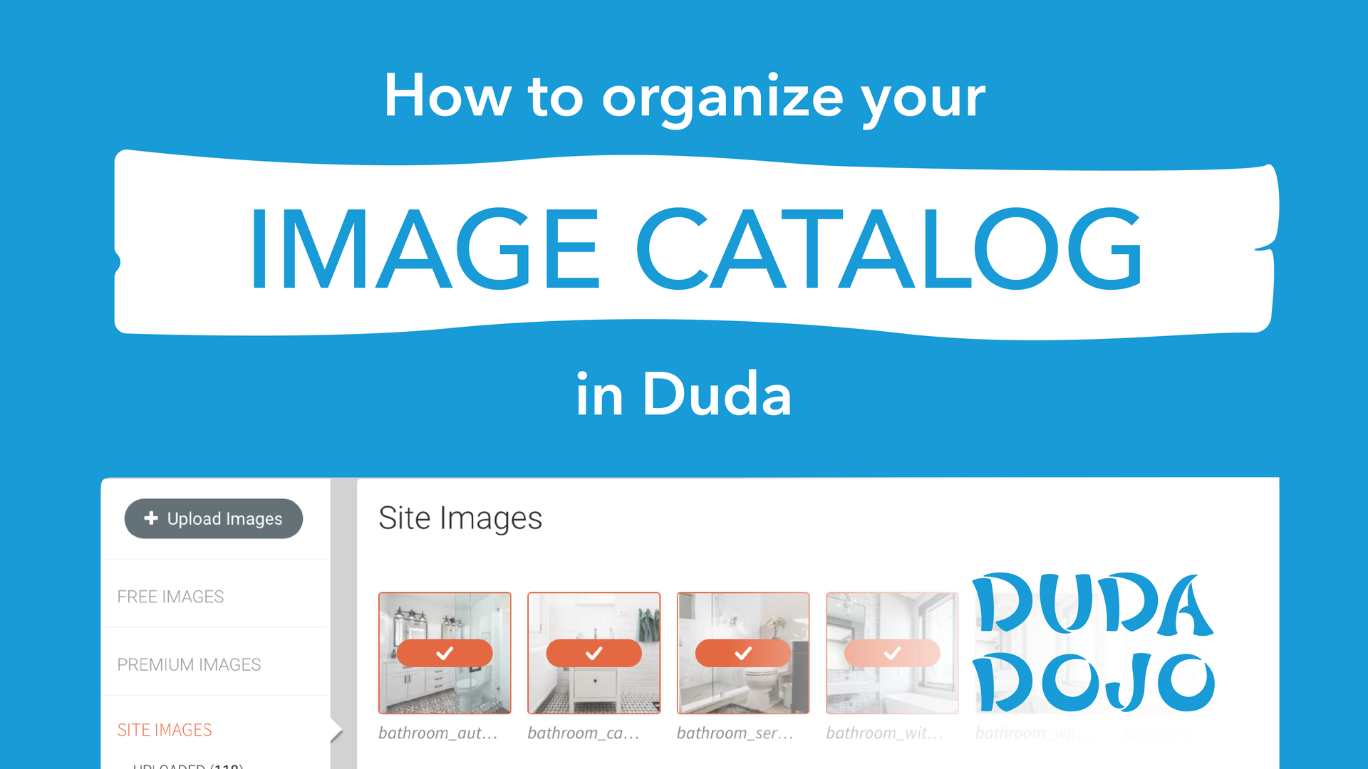 how to organize your image catalog in duda