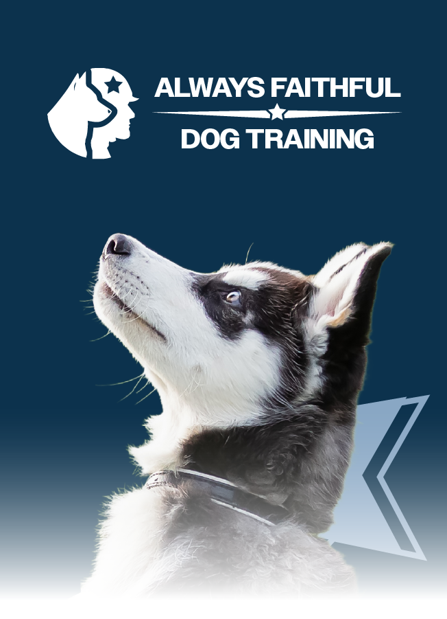 Always Faithful Dog Training Website Case Study