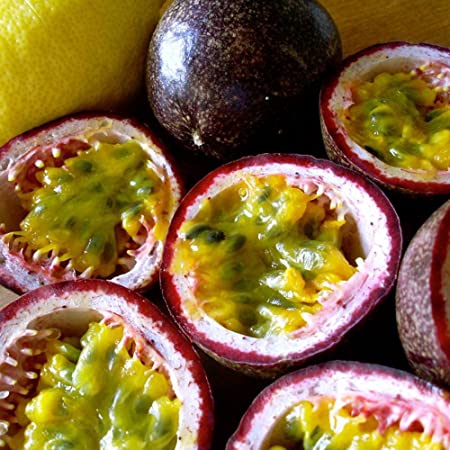 Passion Fruit - Purple, Fresh - Save-On-Foods
