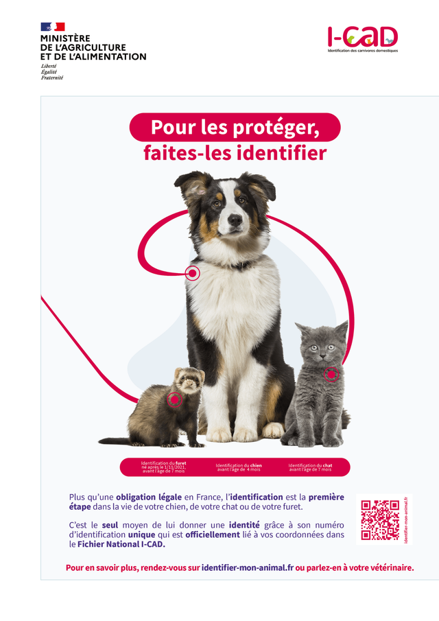 La Fenetre Oscillo Battante Un Piege Mortel