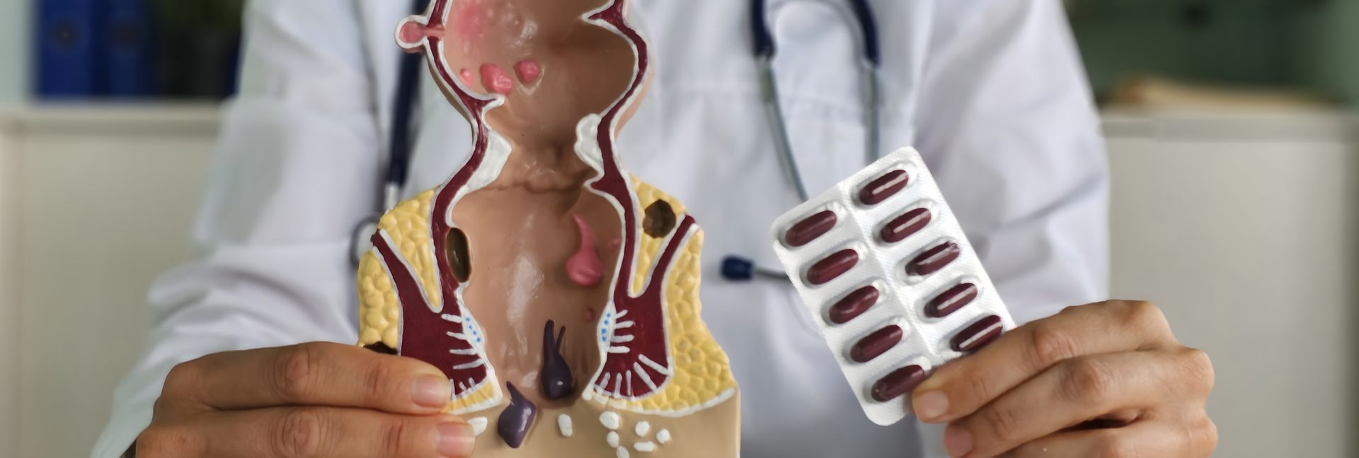 Doctor holding a human anatomy model and a blister pack of pills