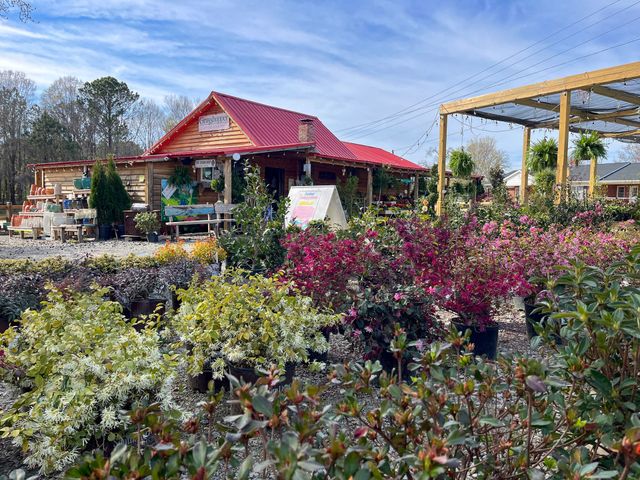 Gardening Plants | Grasshopper Farms NC | Raleigh, NC