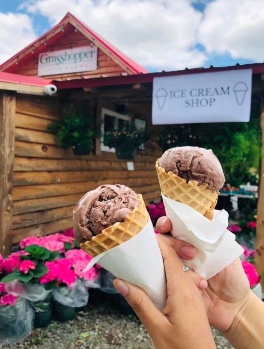 Ice Cream