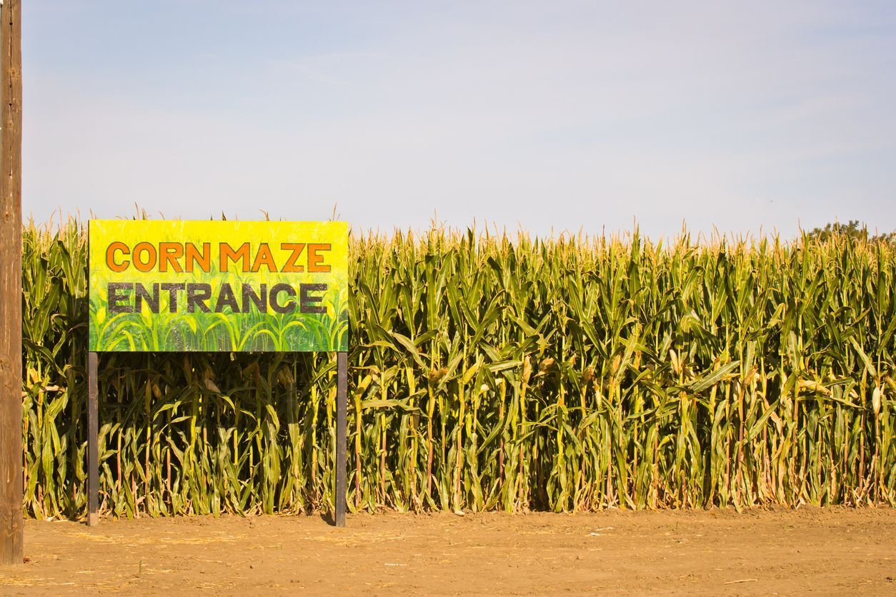 Corn Maze Group Rates