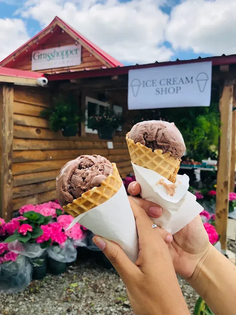 Ice cream at Grasshopper Farms near Knightdale and Raleigh
