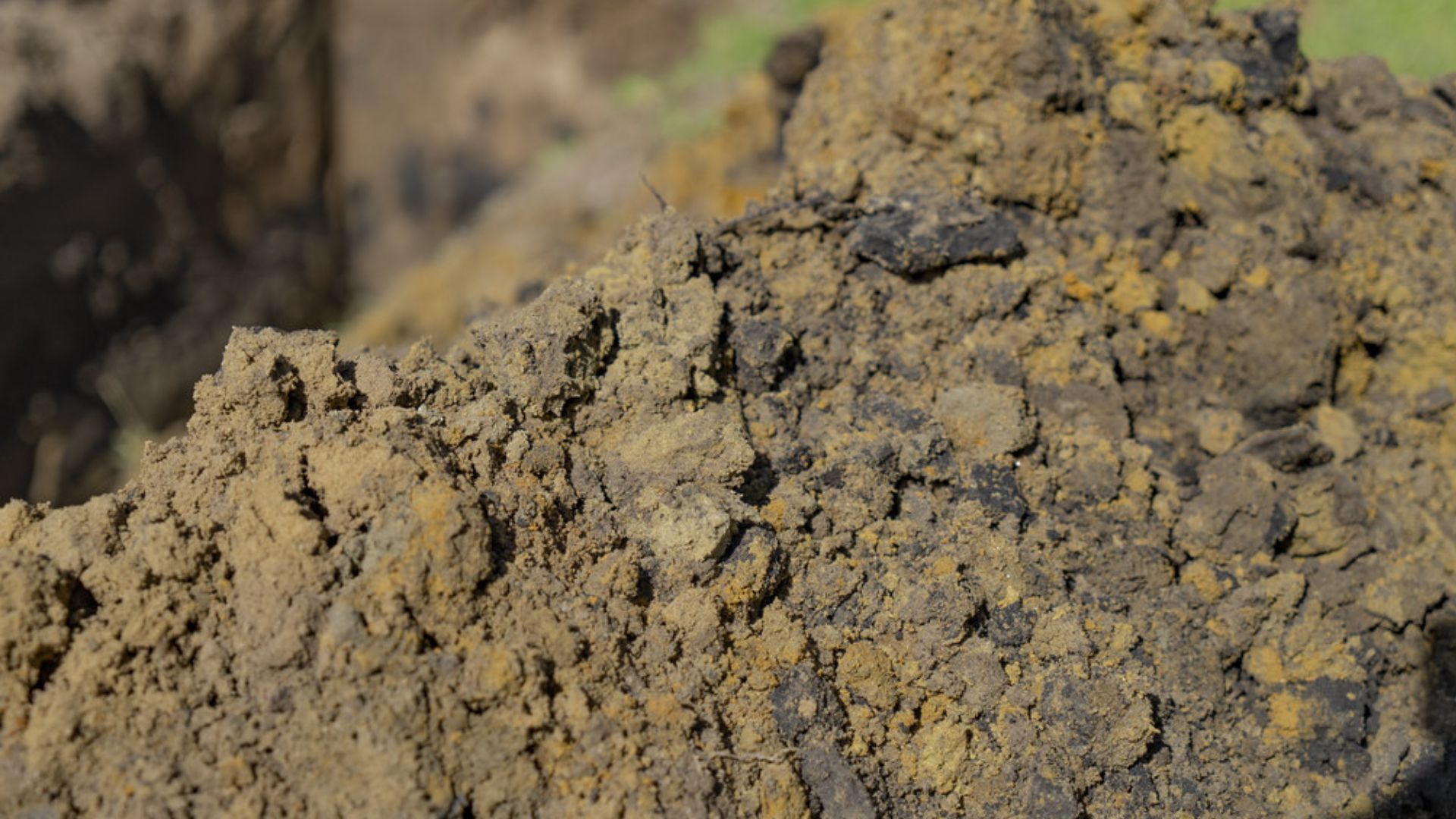 A close up of a pile of dirt in a field.