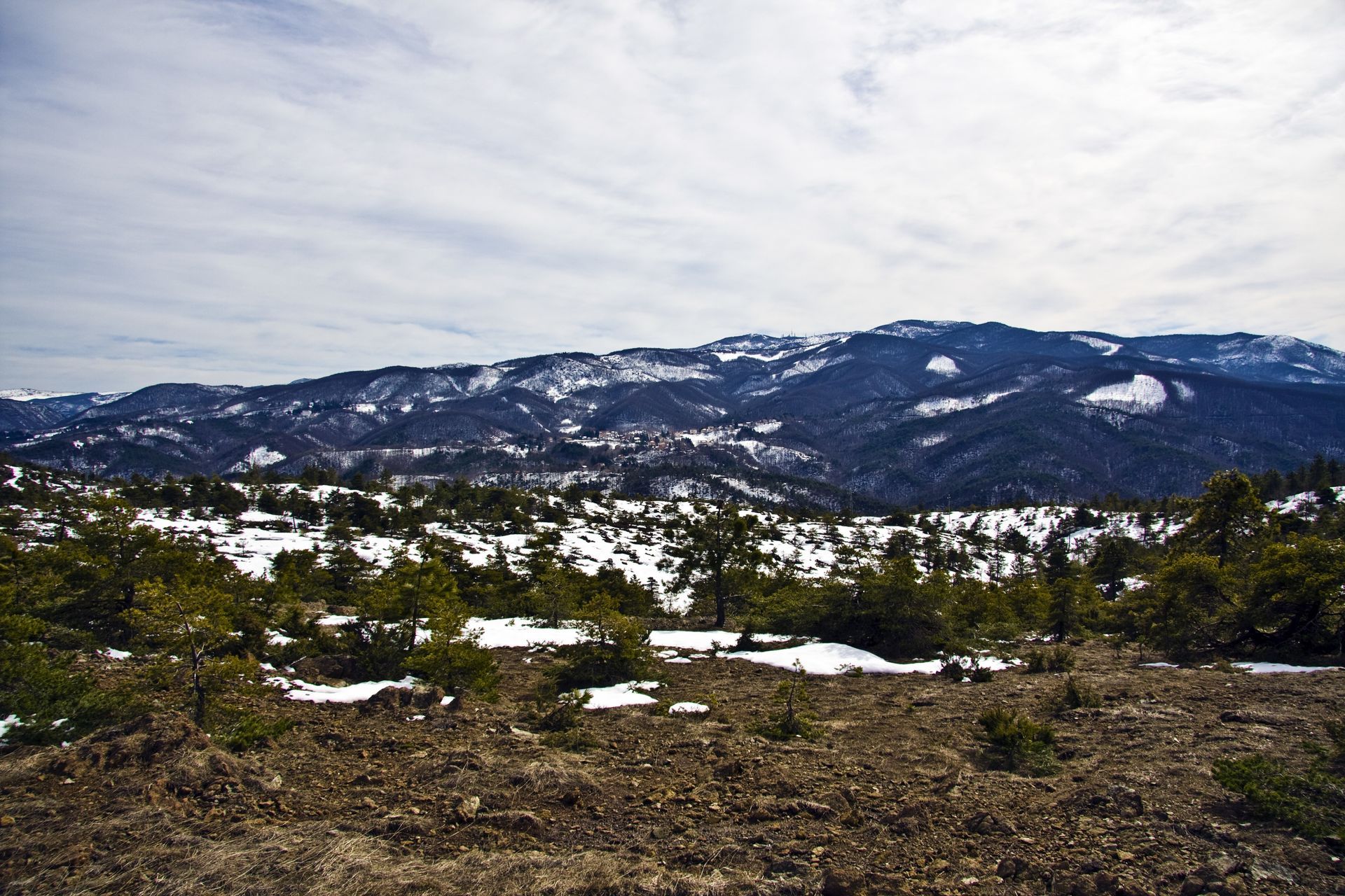 Snow-covered mountains under a cloudy sky. Low-lying evergreen trees in the foreground.