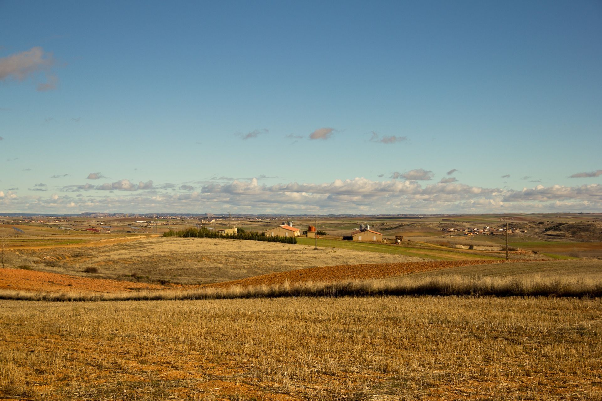 Golden fields and a few buildings under a blue sky with some clouds.