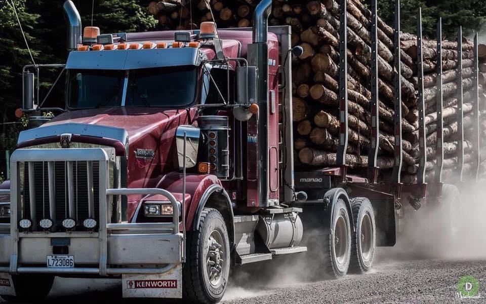 Un semi-remorque rouge transportant des grumes roule sur un chemin de terre.