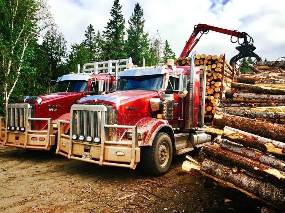 Deux semi-remorques rouges sont garés à côté d'un tas de bûches.